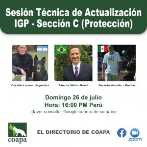 SESIÓN TÉCNICA DE ACTUALIZACIÓN IGP - SECCIÓN C(PROTECCIÓN)